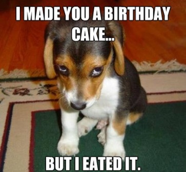 happy-bithday-doggie-meme.jpg