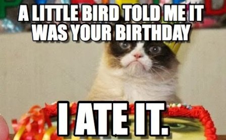 10+ Witty Cat Happy Birthday Meme - 2HappyBirthday
