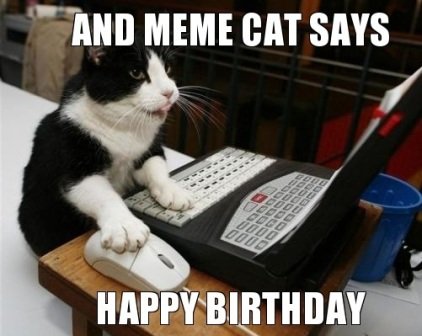 Funny Happy Birthday Cat Meme - 2HappyBirthday