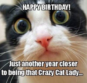 birthday-meme-for-cat