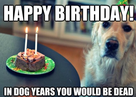 Happy Birthday Dog Quotes Funny Top Dog Happy Birthday Funny Memes - 2Happybirthday