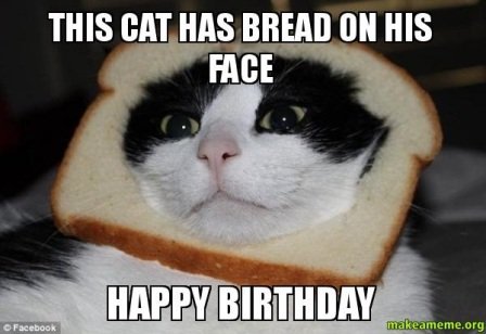 cat-happy-birthday-wish-meme