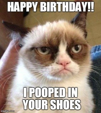 cat-poop-birthday-meme
