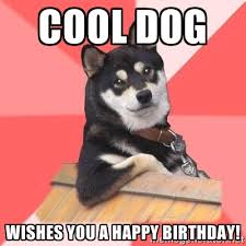 cool-dog-birthday-meme