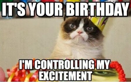 exictement-cat-birthday-meme