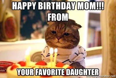 happy-birthday-mom-cat-meme