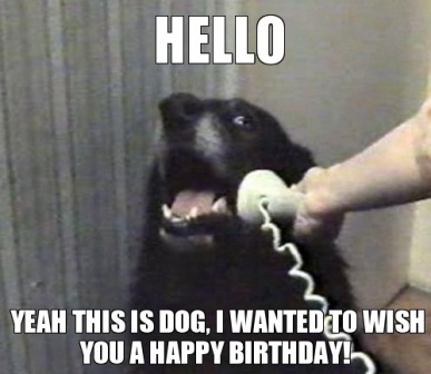 this-is-dog-happy-birthday-meme