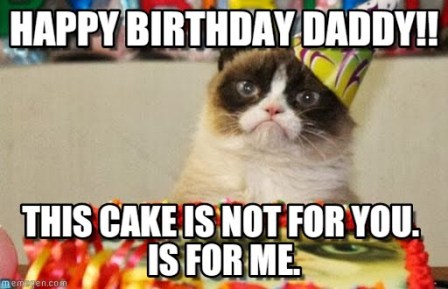 happy-birthday-cat-dade-meme
