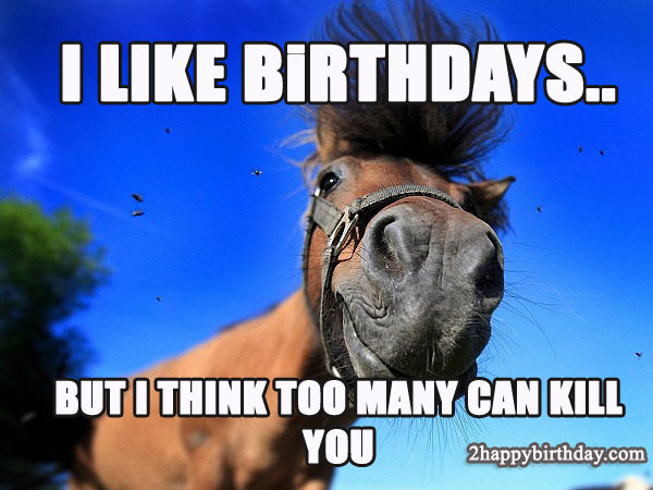 happy birthday funny horse