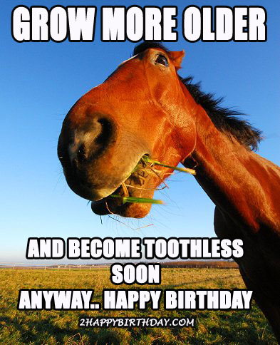 happy-birthday-horse