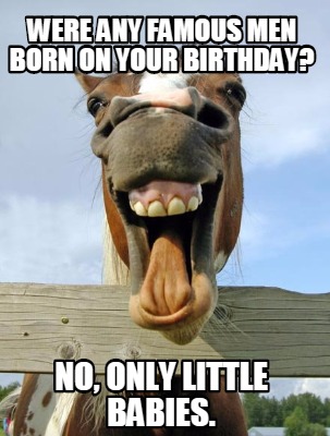 horse-birthday-question