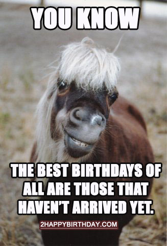 horse-birthday-trivia
