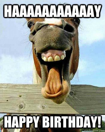 horse wishing happy birthday