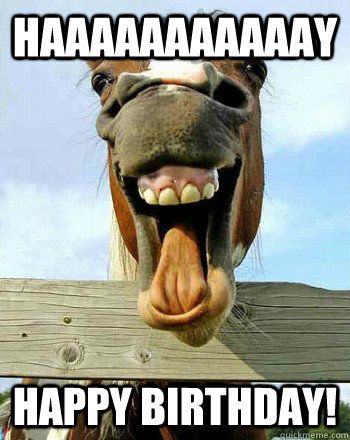 horse-wishing-happy-birthday