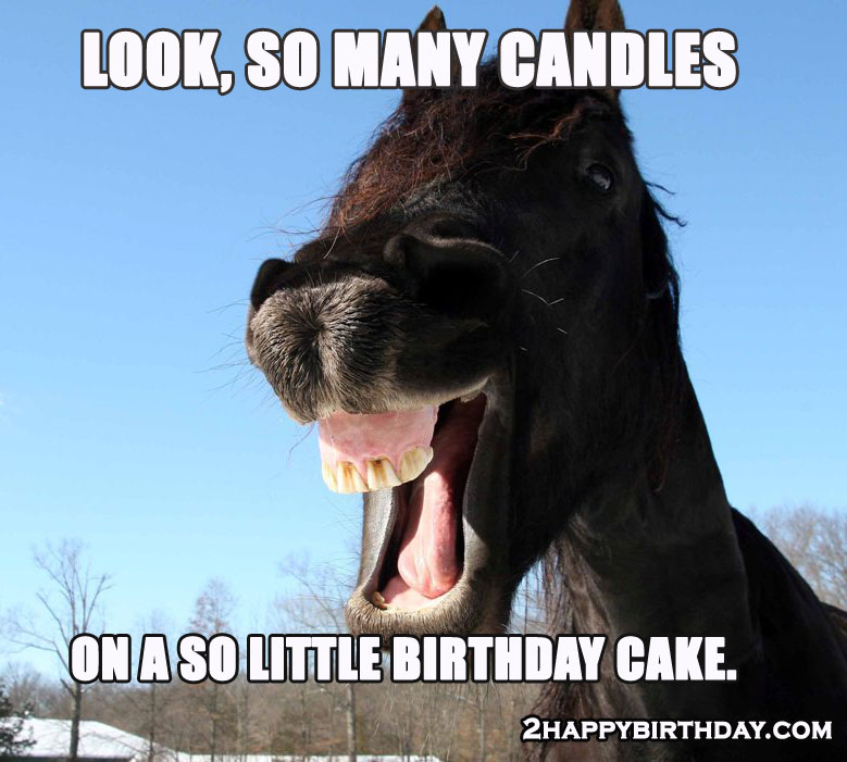 Horse Wishing Birthday