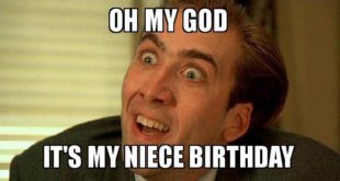 Funny Happy Birthday Niece Memes & Images - 2HappyBirthday